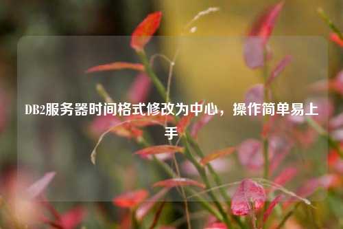 DB2服務(wù)器時(shí)間格式修改為中心，操作簡(jiǎn)單易上手
