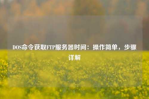DOS命令獲取FTP服務(wù)器時(shí)間：操作簡單，步驟詳解