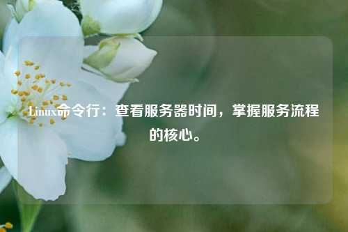 Linux命令行：查看服務(wù)器時(shí)間，掌握服務(wù)流程的核心。