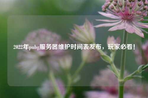 2022年pubg服務(wù)器維護(hù)時(shí)間表發(fā)布，玩家必看！
